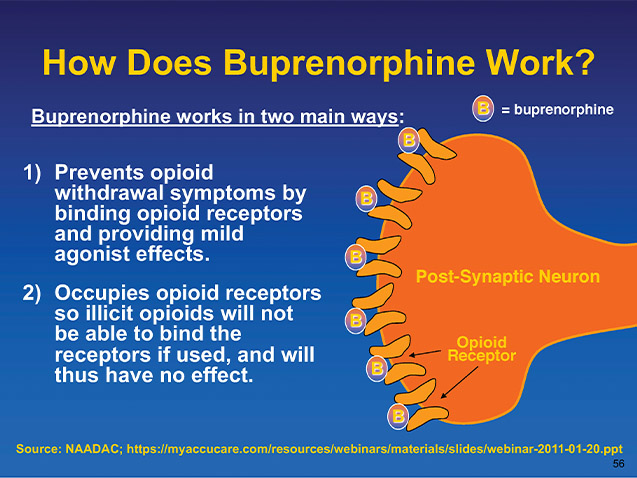 How Does Buprenorphine Work