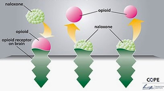 Naloxone overdose prevention